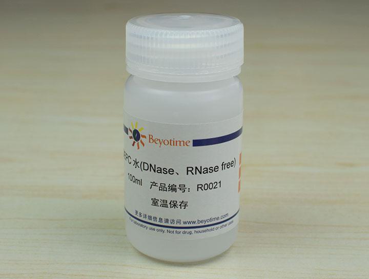 DEPC水(DNase、RNase free)